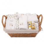 burts bees baby essentials kit