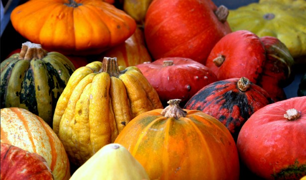 Pumpkins in Fall